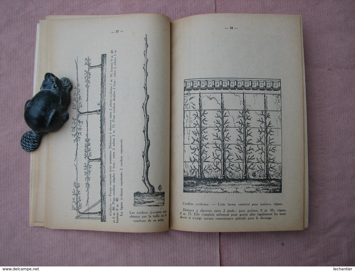 Trés beau catalogue de 1933  des ASPERGES d' ARGENTEUIL , Fleury et Gdre 81 pages voir autres productions TBE