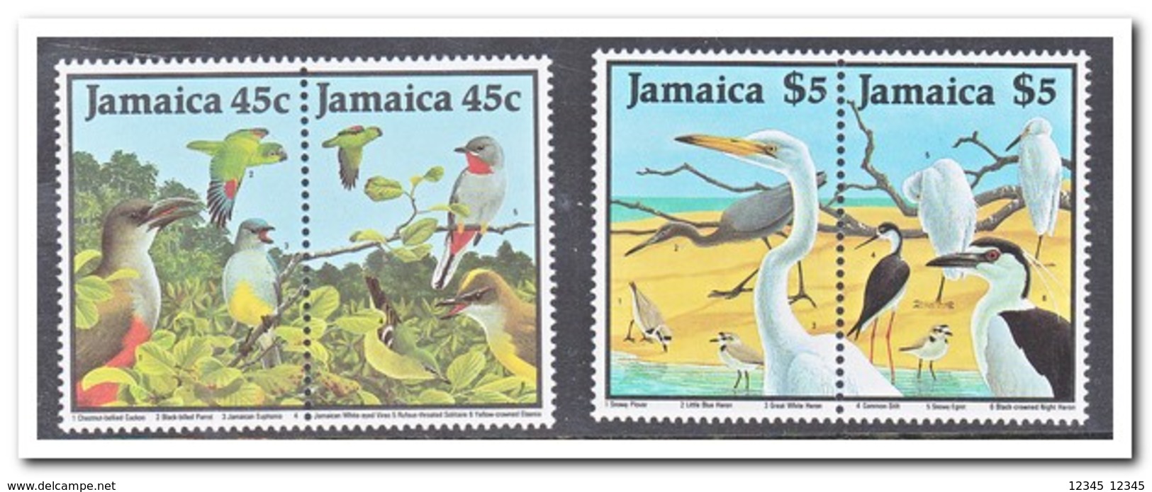 Jamaica 1988, Postfris MNH, Birds - Jamaica (1962-...)