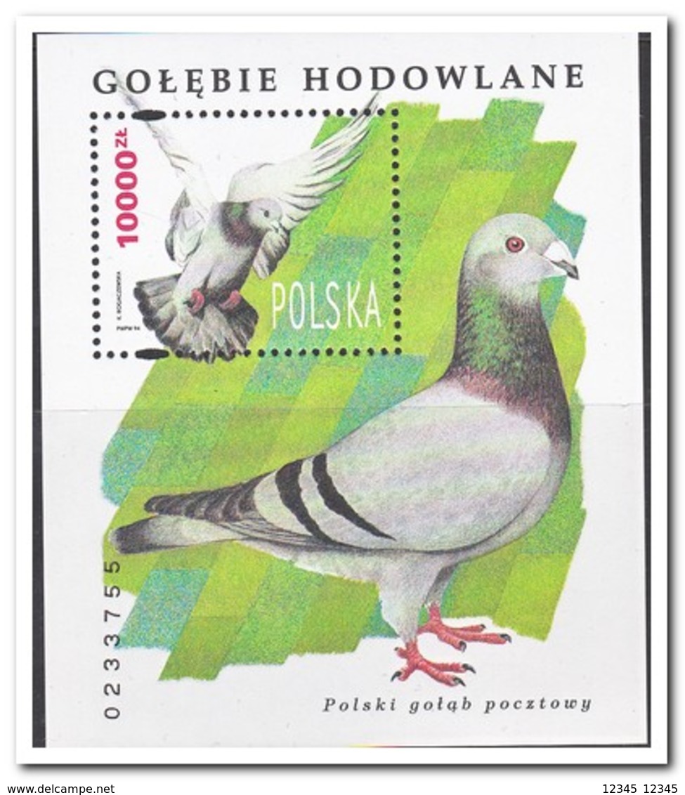 Polen 1994, Postfris MNH, Birds - Ongebruikt