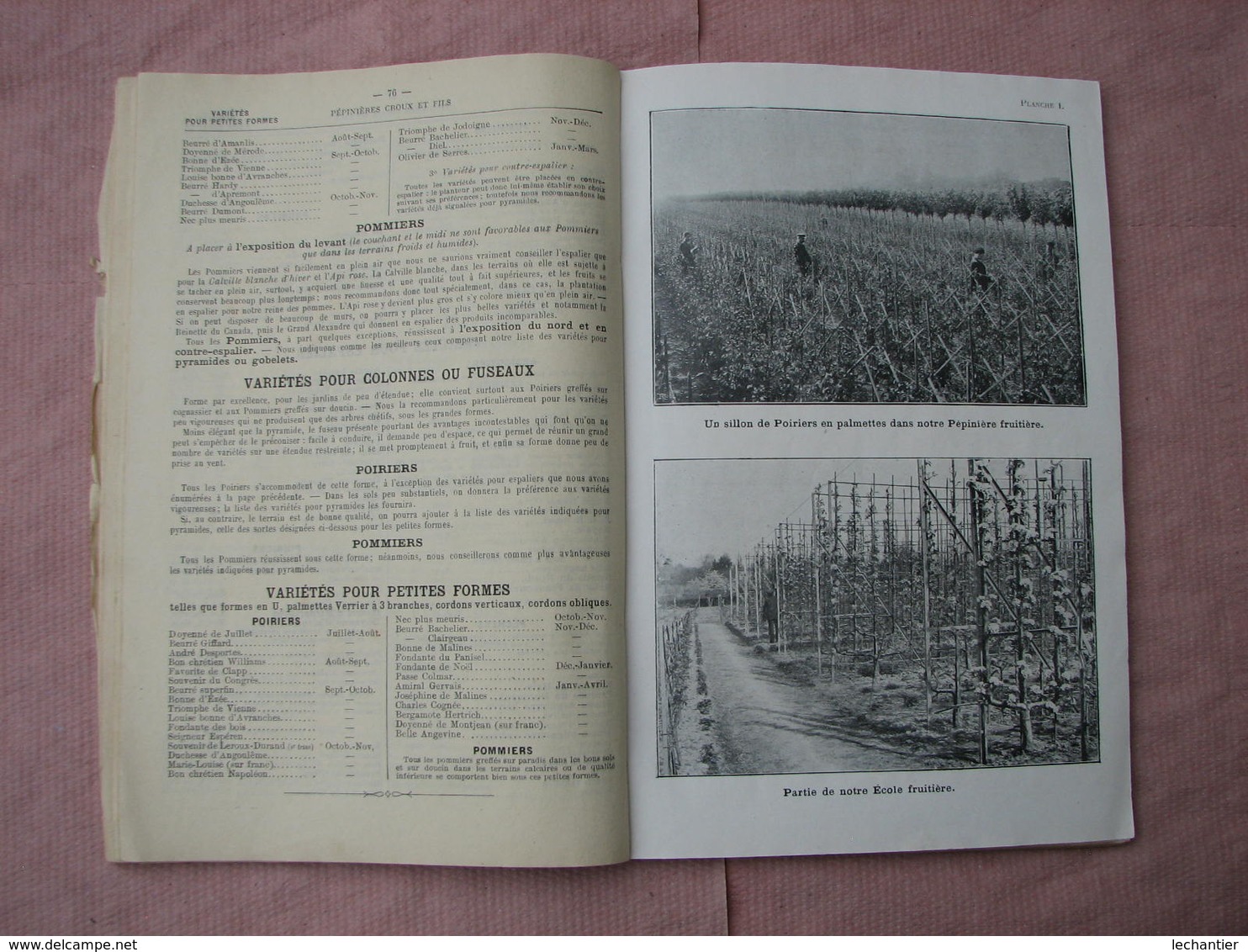 Catalogue 1909/1910 pépinières du Val d'Aulnay  CROUX et FILS  193 pages + courrier BE d'usage