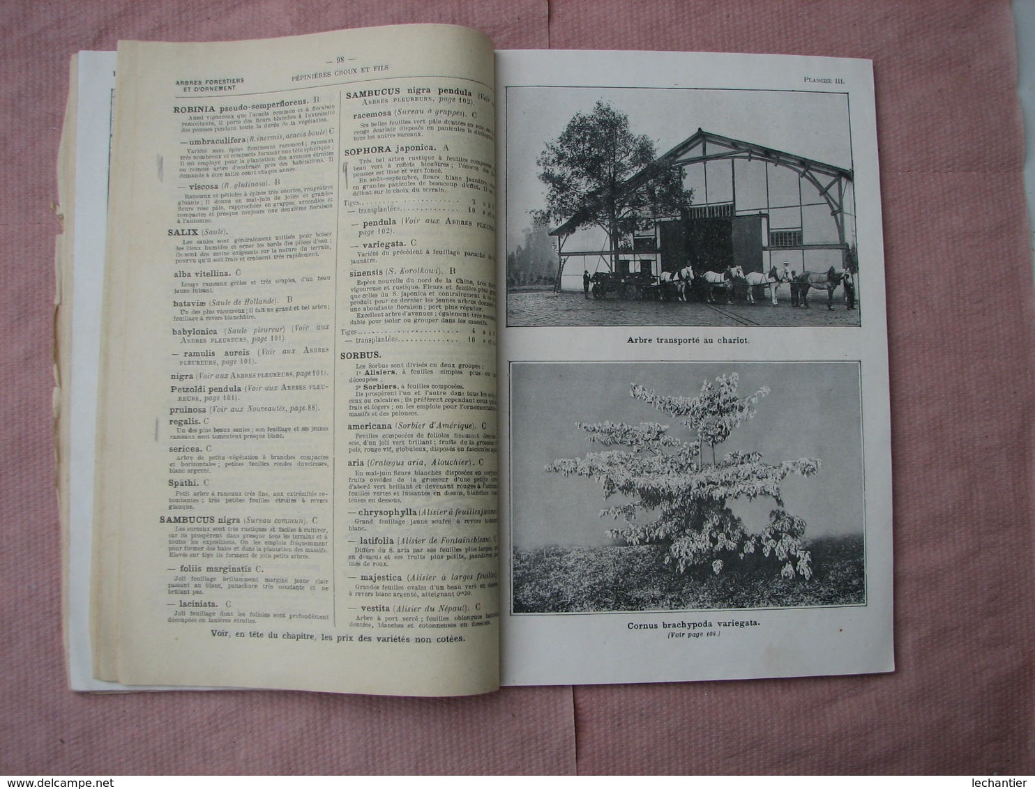 Catalogue 1909/1910 pépinières du Val d'Aulnay  CROUX et FILS  193 pages + courrier BE d'usage