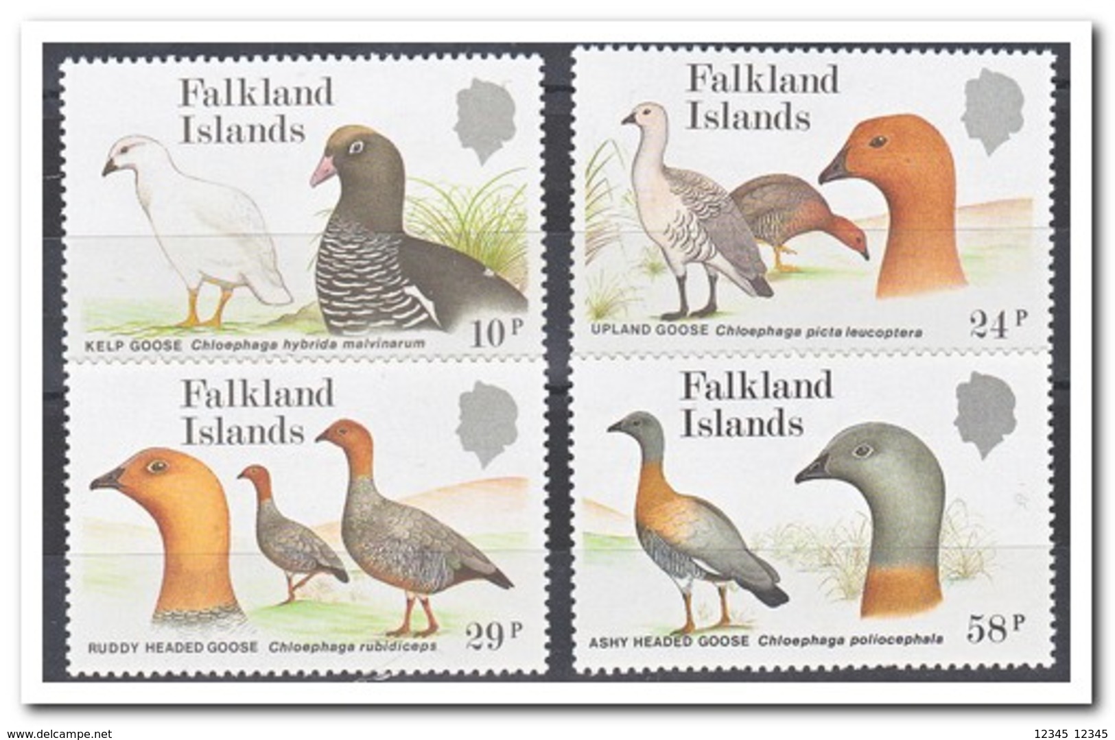 Falklandeilanden 1988, Postfris MNH, Birds - Falklandeilanden