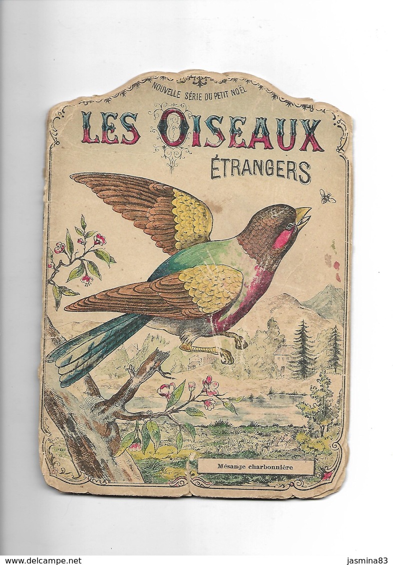 Les Oiseaux Etrangers (livre De20 Pages De 22 Cm Sur 16 Cm) Apprentissage De L'alphabet..... - Autres & Non Classés