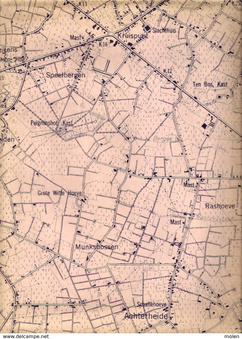 STAFKAART 1/10.000 HEIST-OP-DEN-BERG meting1951 BEERZEL SCHRIEK GROOTLO HALLAAR GOOR PIJPELHEIDE HEIKANT Tremelo S386