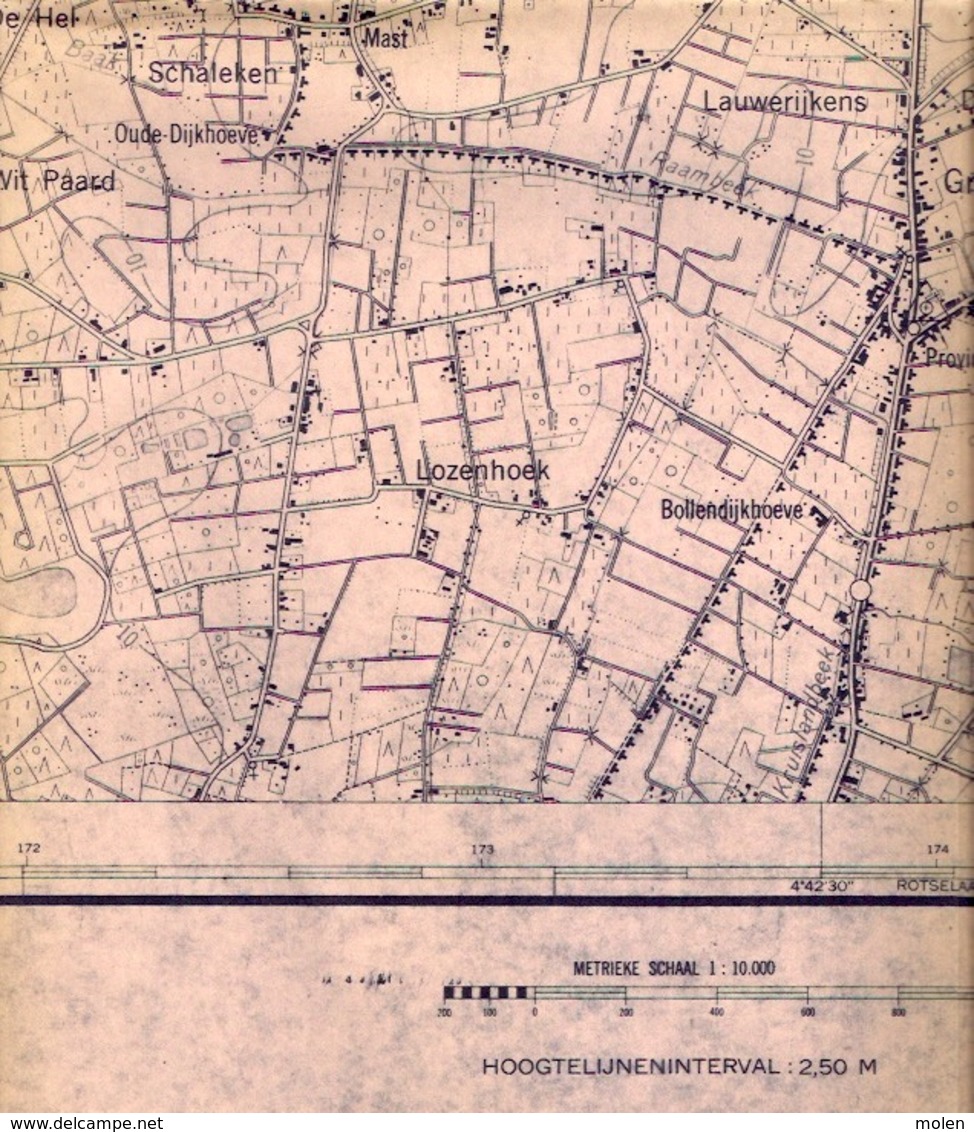 STAFKAART 1/10.000 HEIST-OP-DEN-BERG meting1951 BEERZEL SCHRIEK GROOTLO HALLAAR GOOR PIJPELHEIDE HEIKANT Tremelo S386