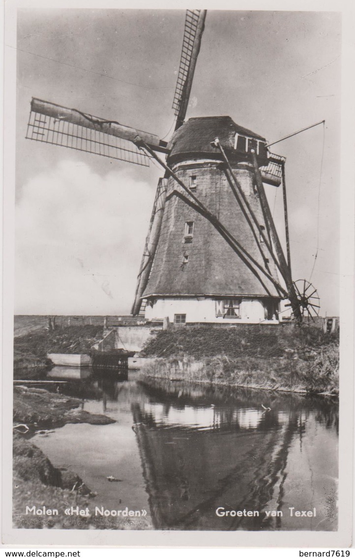 Pays-bas   Molen Het Noorden  Groeten Van Texel - Otros & Sin Clasificación