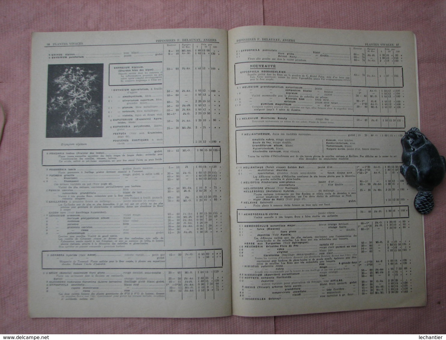 PEPINIERES  DELAUNAY  Angers - Doué La Fontaine 2 Catalogues 1934/35 Et 1936/37 TBE D'ensemble - Other & Unclassified