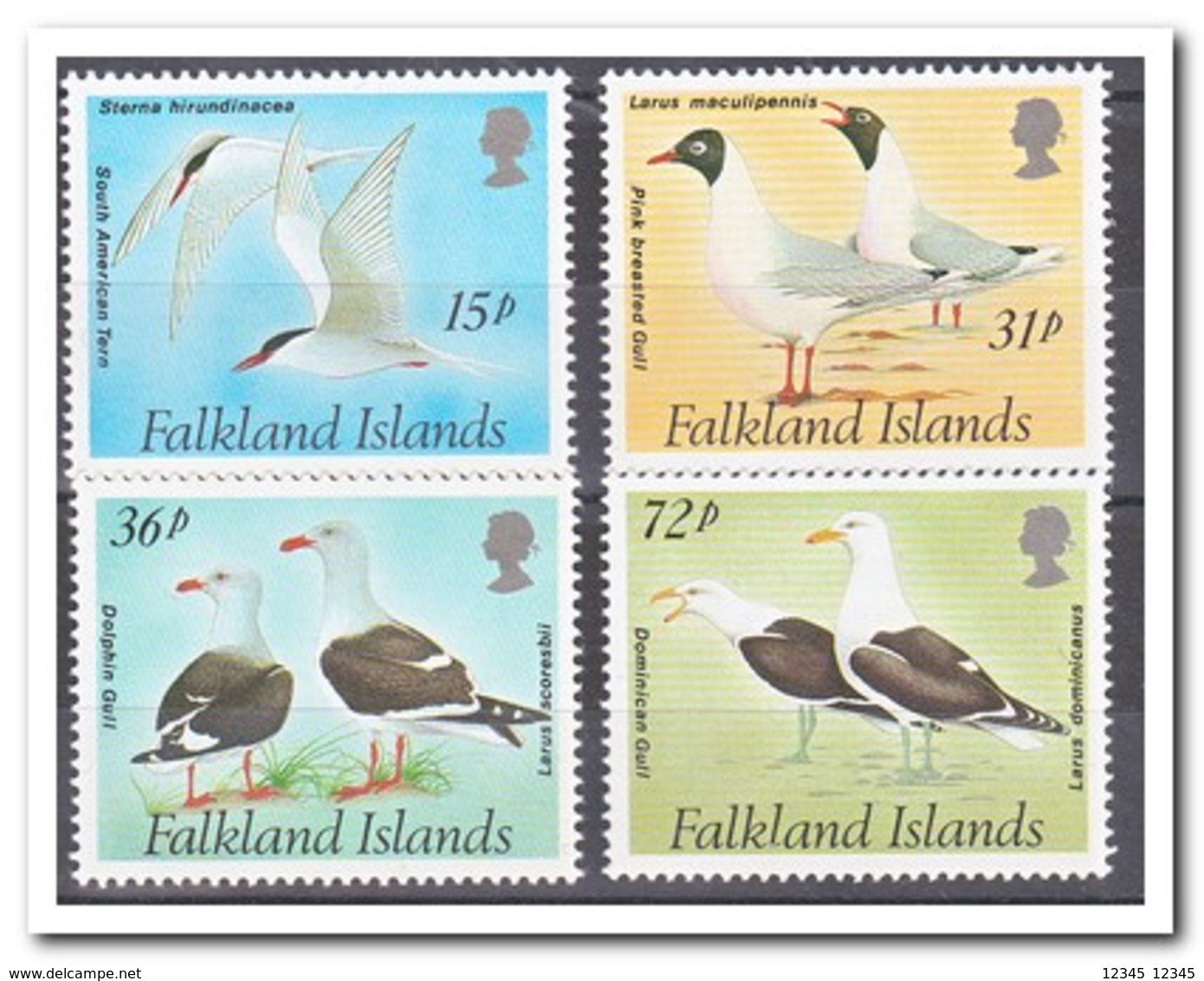 Falkland Eilanden 1993, Postfris MNH, Birds - Falklandeilanden