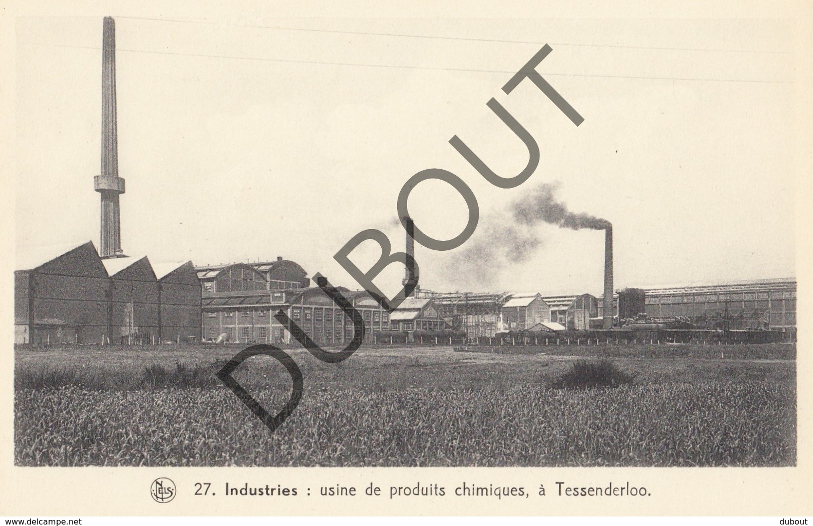 Postkaart/Carte Postale TESSENDERLO Industries: Usine De Produits Chimiques - Les Paysages Belges: La Campine (O356) - Tessenderlo