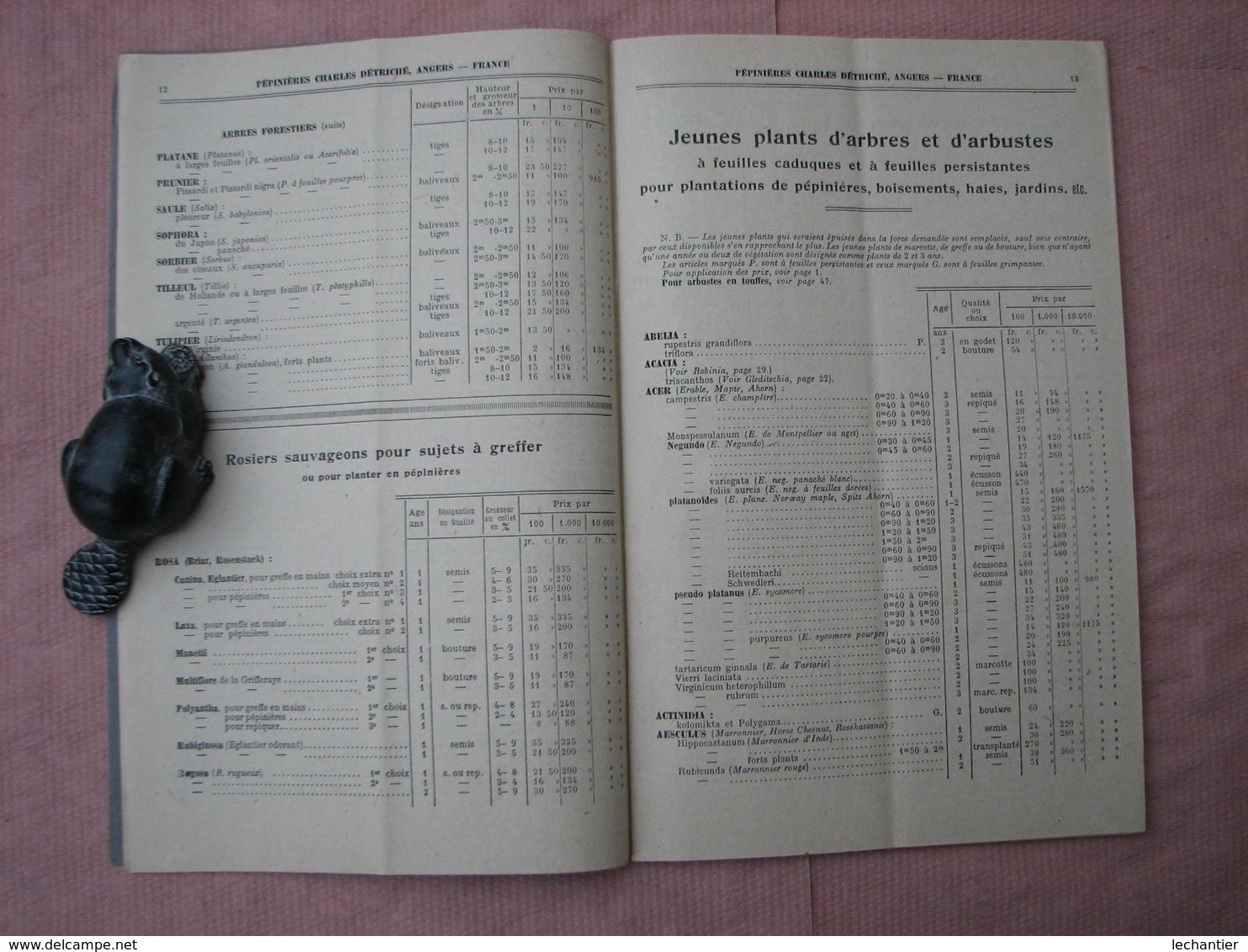 Catalogue 1925/1926 Pépinières Charles Détriché ANGERS 80 Pages 15X24 Excellent état , Voir Photos - Altri & Non Classificati