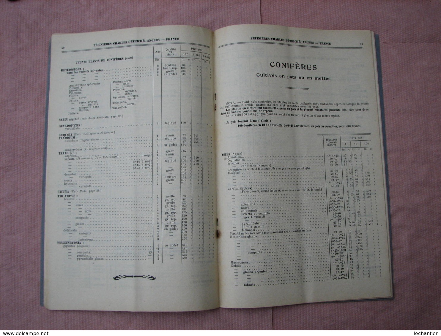 Catalogue 1925/1926 Pépinières Charles Détriché ANGERS 80 Pages 15X24 Excellent état , Voir Photos - Altri & Non Classificati