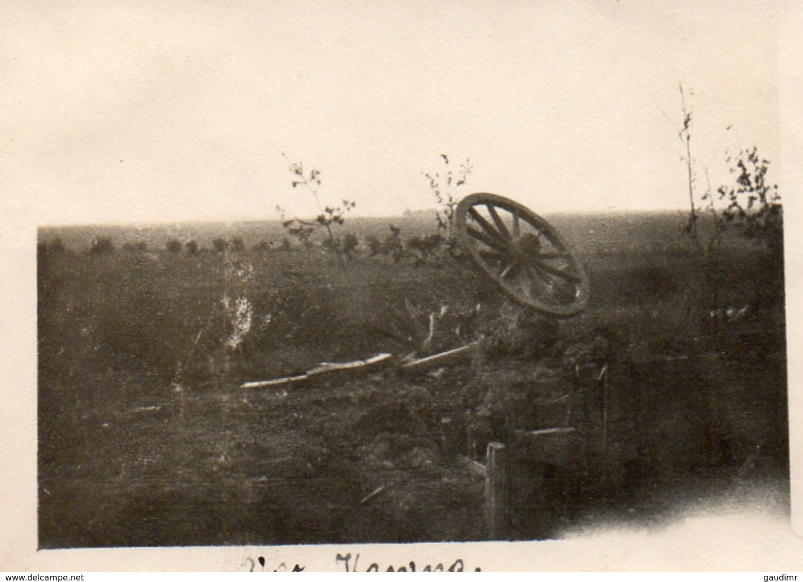 PHOTO ALLEMANDE - LITHUANIA LITUANIE - ATTELAGE DÉTRUIT DEVANT KOWNO - KAUNAS - GUERRE 1914 1918 - 1914-18