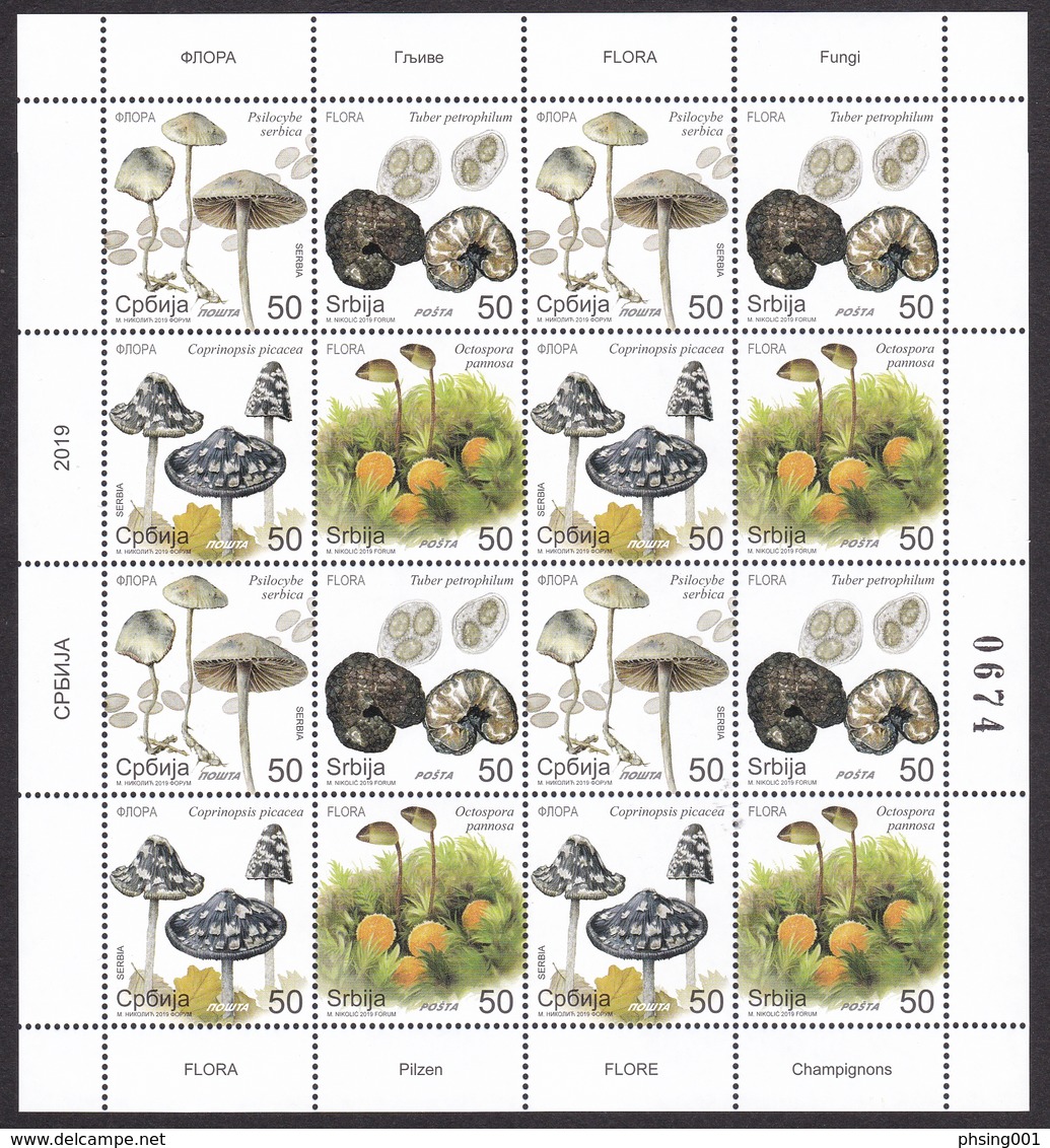 Serbia 2019 Flora Plants Mushrooms Champignons Pilzen Fungi Sheet MNH - Champignons