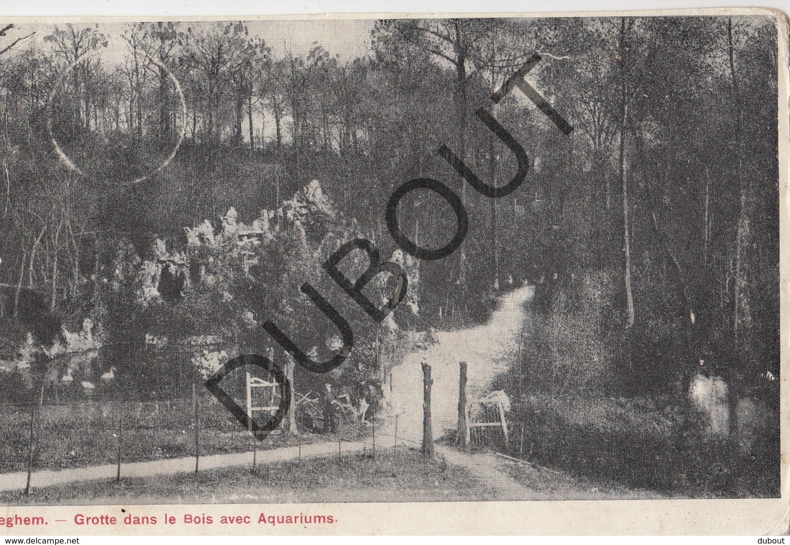 Postkaart/Carte Postale TIEGEM Grotte Dans Le Bois Avec Aquariums (O365) - Anzegem