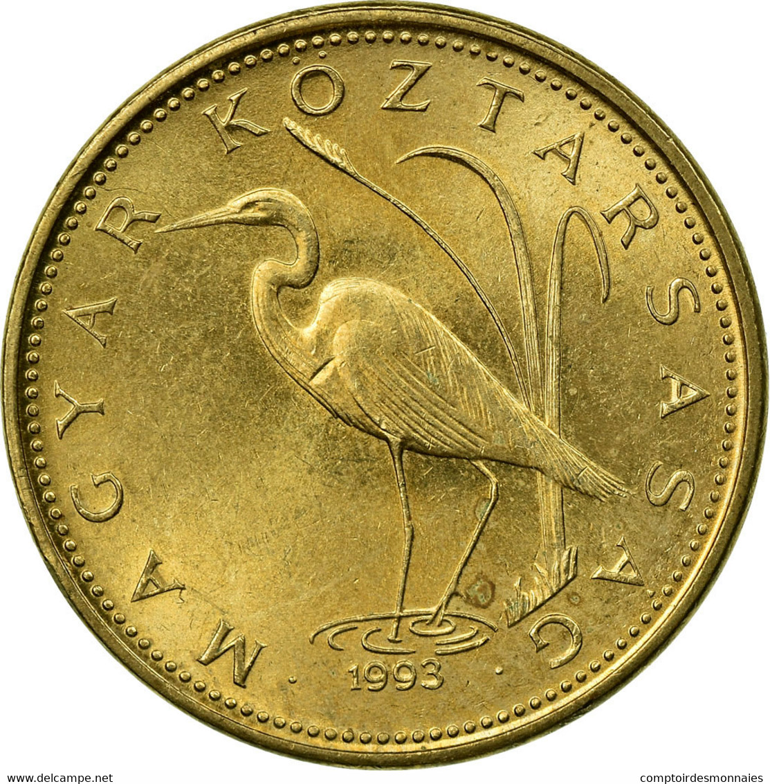 Monnaie, Hongrie, 5 Forint, 1993, Budapest, TTB, Nickel-brass, KM:694 - Hongrie