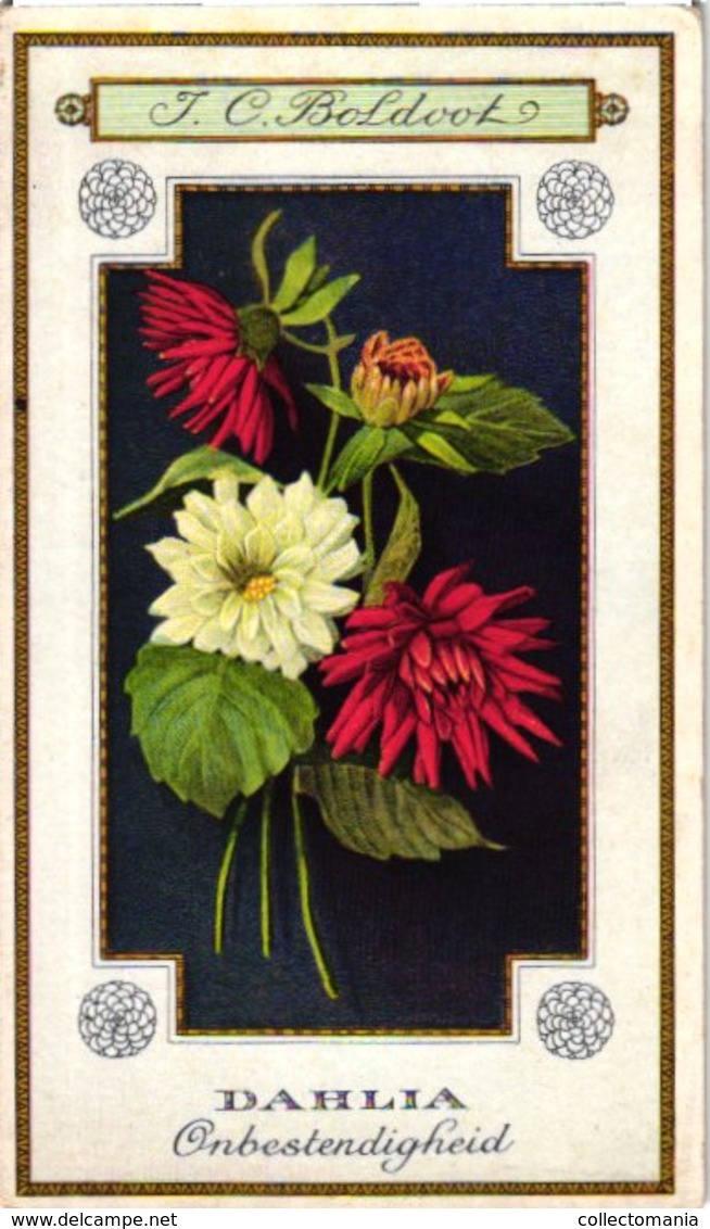 60 chromo lithos zie fotos, 4711 , gedrukt  cirka 1916 verzameling, NEderland - parfum Boldoot - 6,2 cm X 11 cm