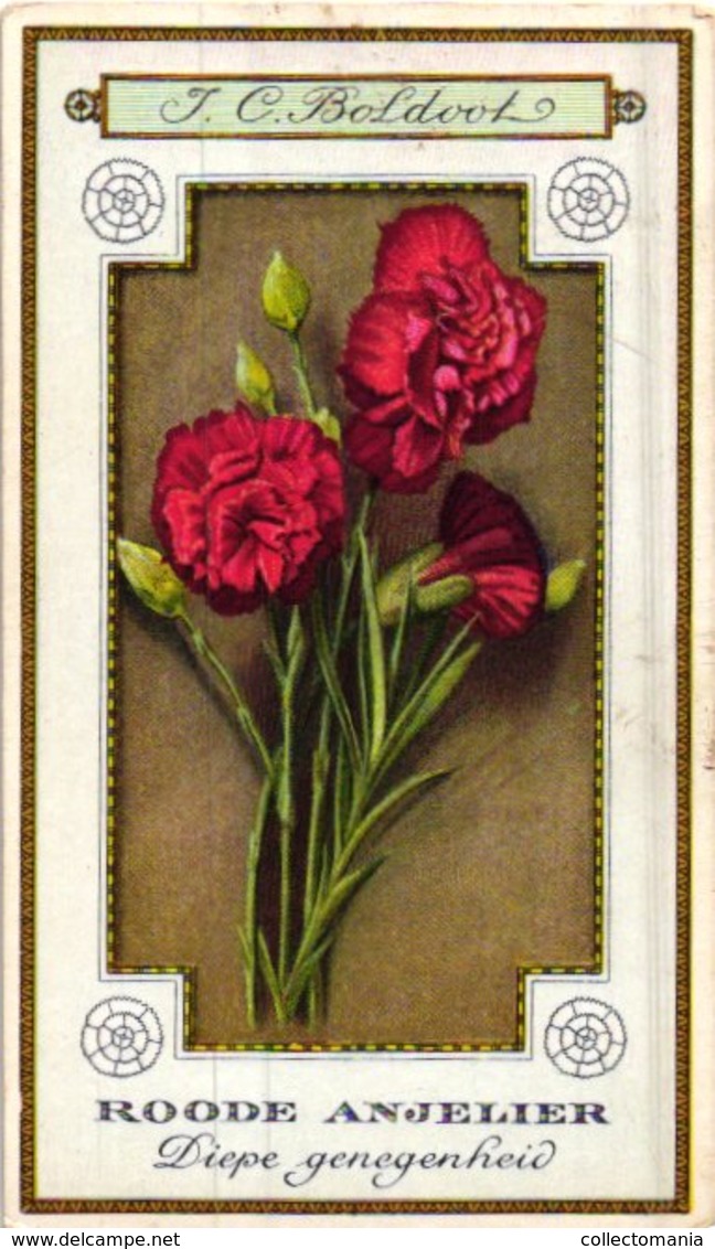 60 chromo lithos zie fotos, 4711 , gedrukt  cirka 1916 verzameling, NEderland - parfum Boldoot - 6,2 cm X 11 cm