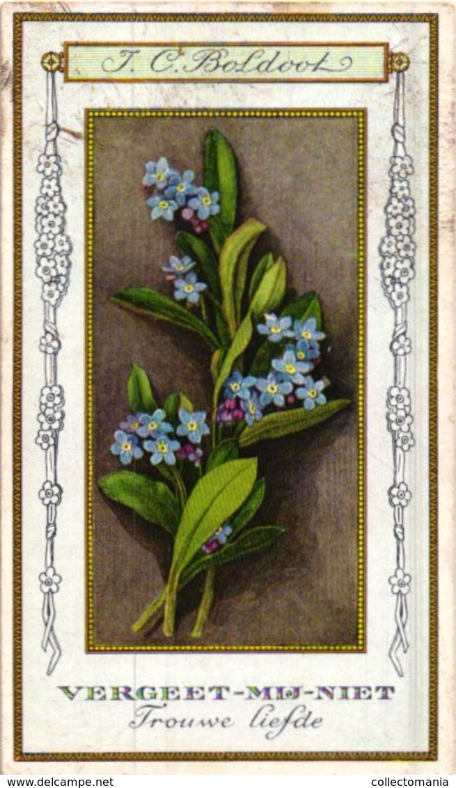 60 chromo lithos zie fotos, 4711 , gedrukt  cirka 1916 verzameling, NEderland - parfum Boldoot - 6,2 cm X 11 cm