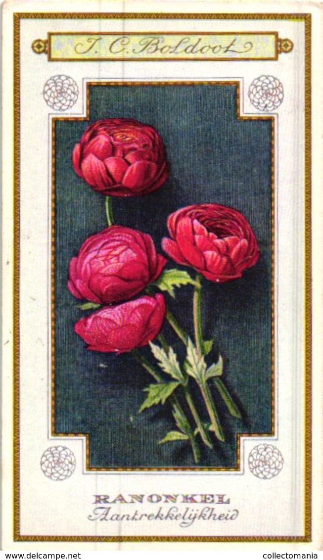 60 chromo lithos zie fotos, 4711 , gedrukt  cirka 1916 verzameling, NEderland - parfum Boldoot - 6,2 cm X 11 cm