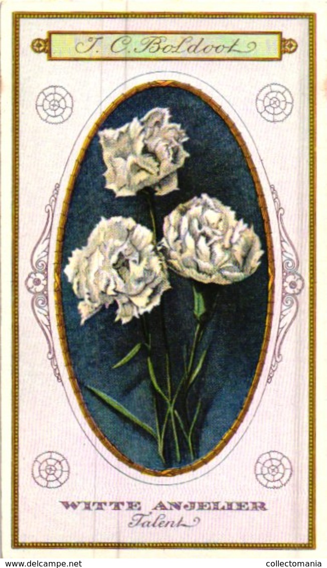 60 chromo lithos zie fotos, 4711 , gedrukt  cirka 1916 verzameling, NEderland - parfum Boldoot - 6,2 cm X 11 cm