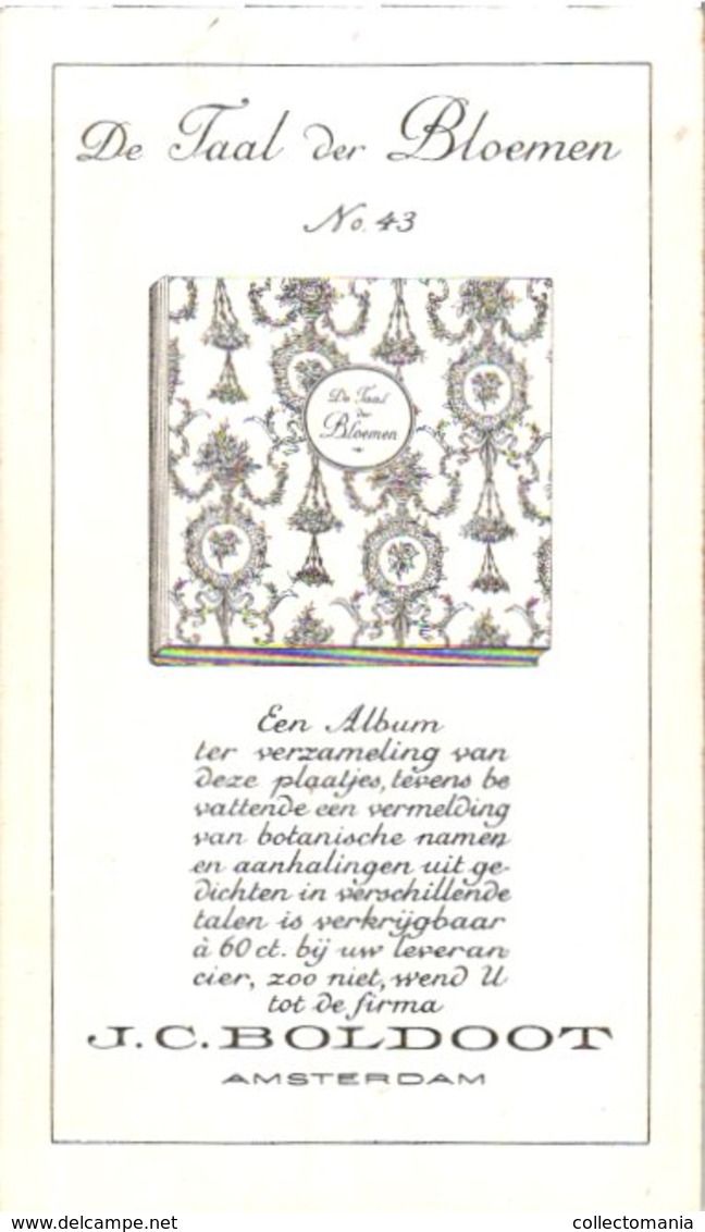 60 chromo lithos zie fotos, 4711 , gedrukt  cirka 1916 verzameling, NEderland - parfum Boldoot - 6,2 cm X 11 cm