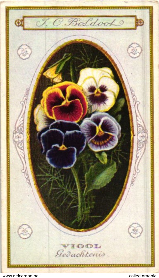 60 chromo lithos zie fotos, 4711 , gedrukt  cirka 1916 verzameling, NEderland - parfum Boldoot - 6,2 cm X 11 cm