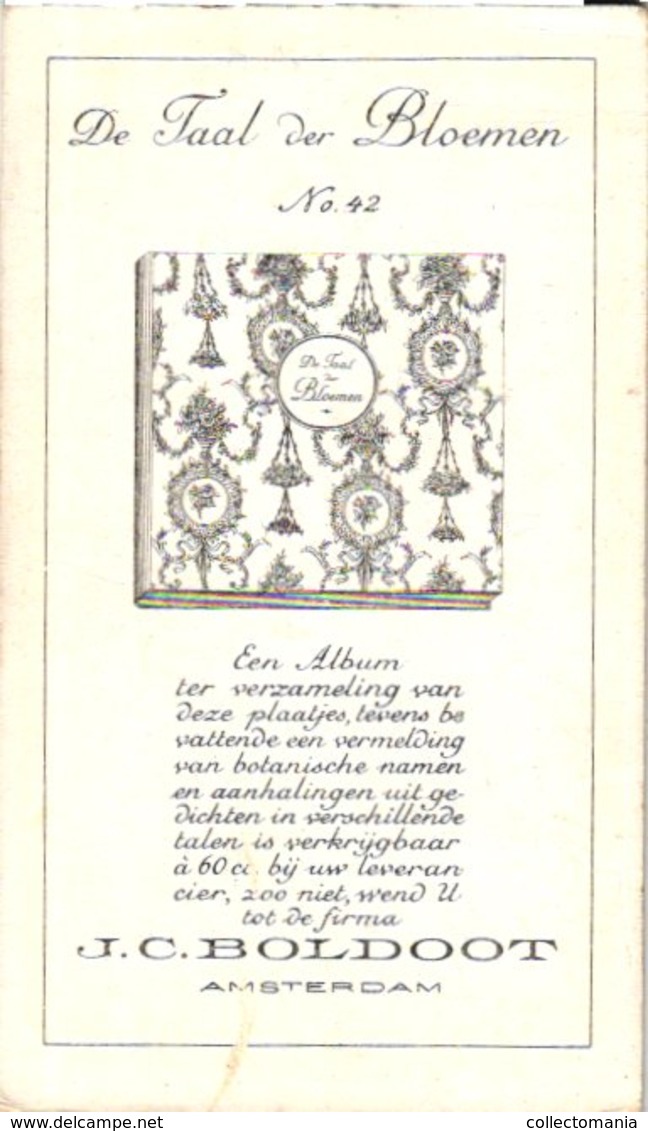 60 chromo lithos zie fotos, 4711 , gedrukt  cirka 1916 verzameling, NEderland - parfum Boldoot - 6,2 cm X 11 cm