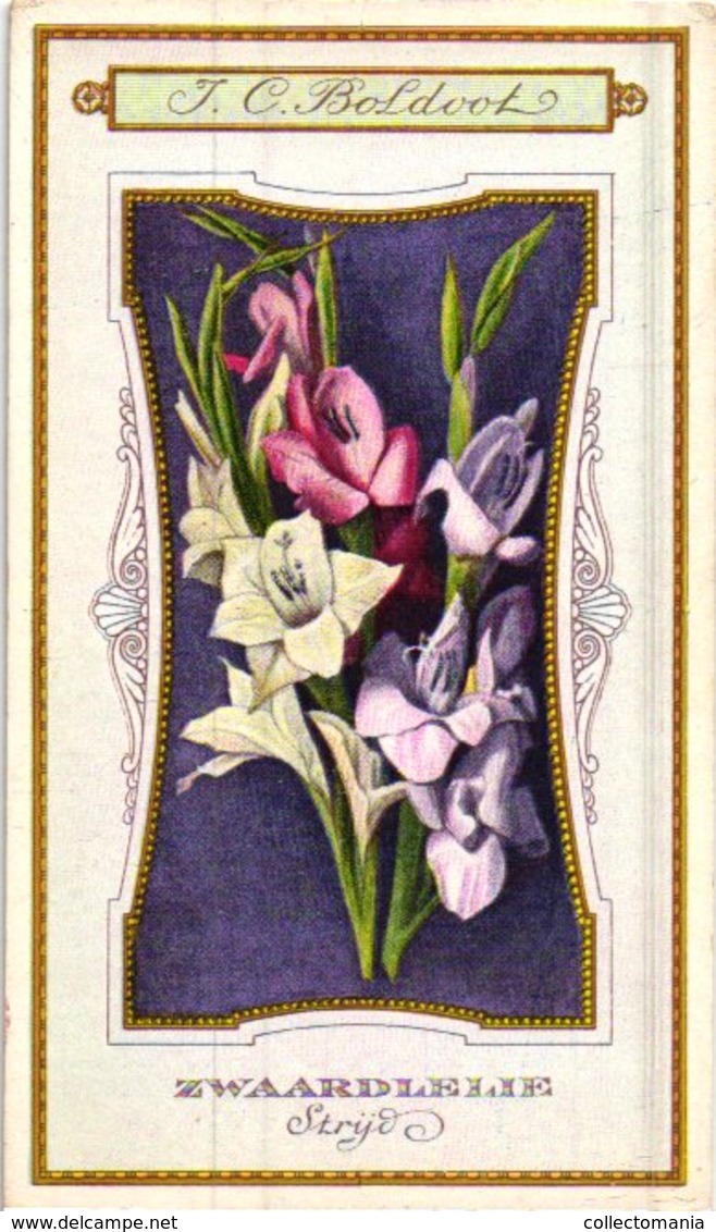 60 chromo lithos zie fotos, 4711 , gedrukt  cirka 1916 verzameling, NEderland - parfum Boldoot - 6,2 cm X 11 cm