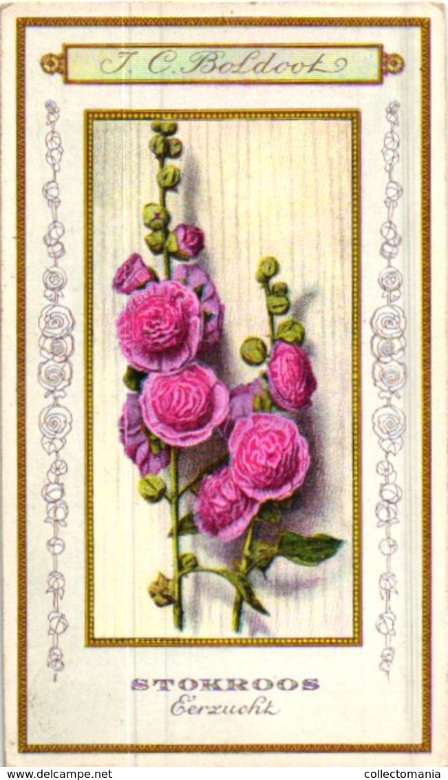 60 chromo lithos zie fotos, 4711 , gedrukt  cirka 1916 verzameling, NEderland - parfum Boldoot - 6,2 cm X 11 cm