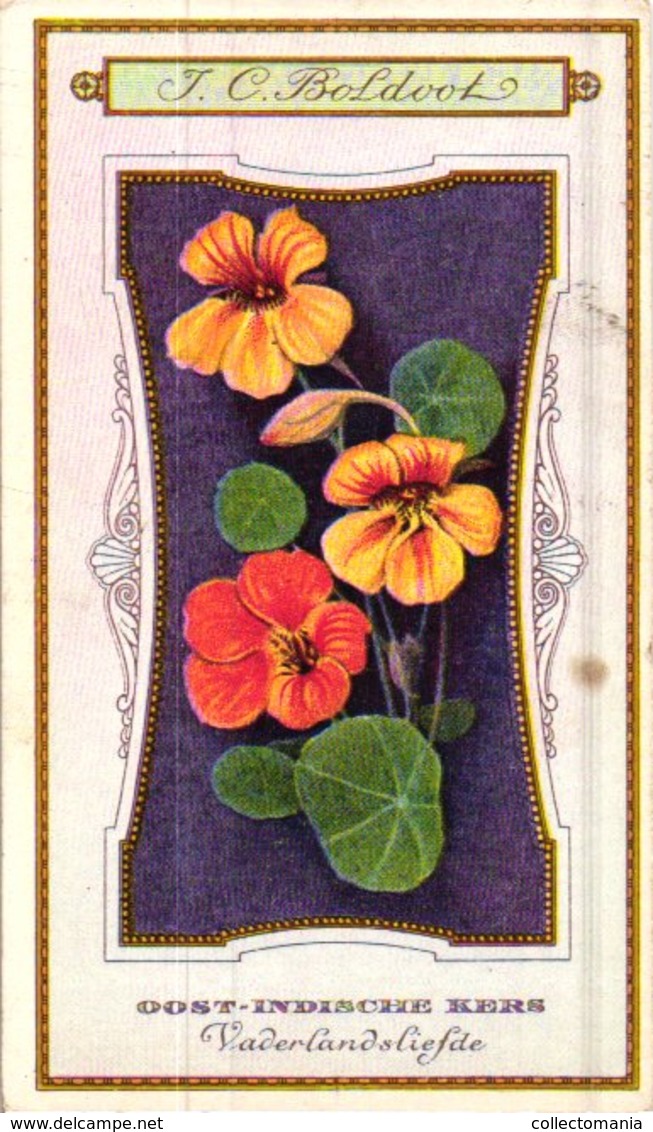 60 chromo lithos zie fotos, 4711 , gedrukt  cirka 1916 verzameling, NEderland - parfum Boldoot - 6,2 cm X 11 cm