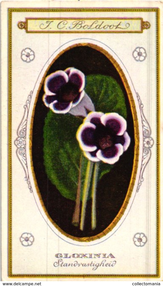 60 chromo lithos zie fotos, 4711 , gedrukt  cirka 1916 verzameling, NEderland - parfum Boldoot - 6,2 cm X 11 cm