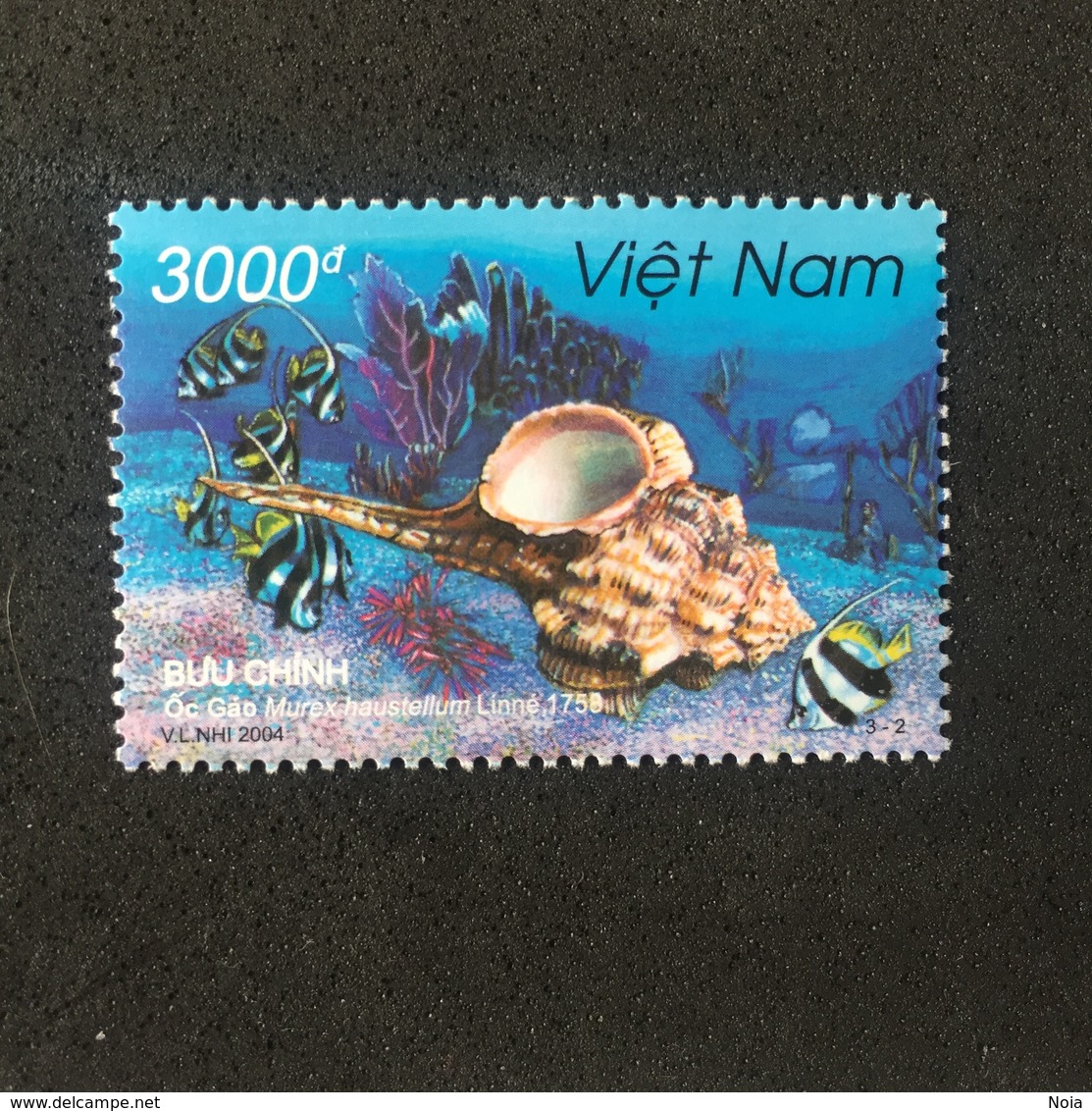 VIETNAM. 2004. MNH (C3309C) - Conchas