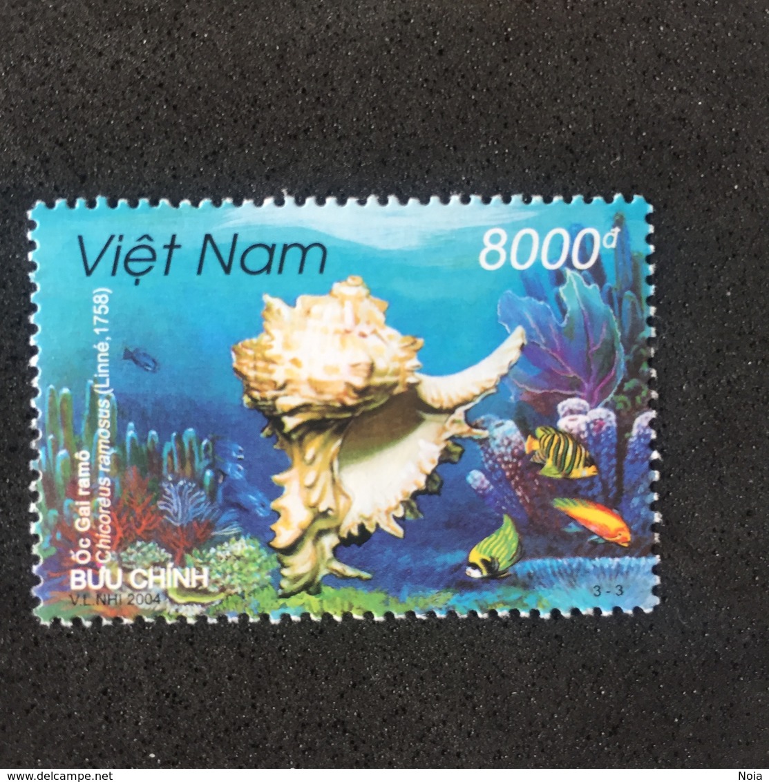 VIETNAM. 2004. MNH (C3309E) - Conchas