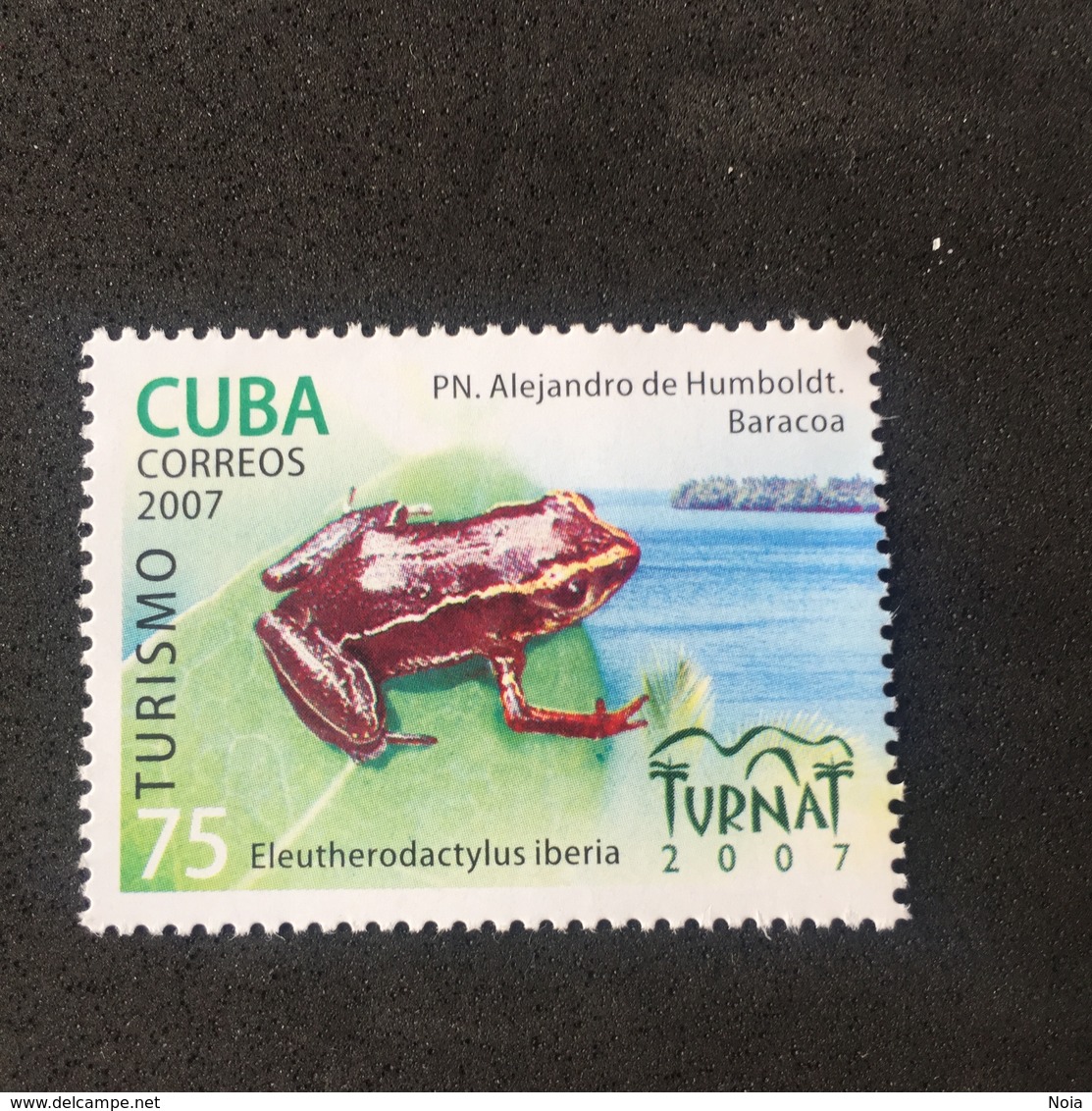 CUBA. 2007. FROG. MNH (C3404B) - Frösche