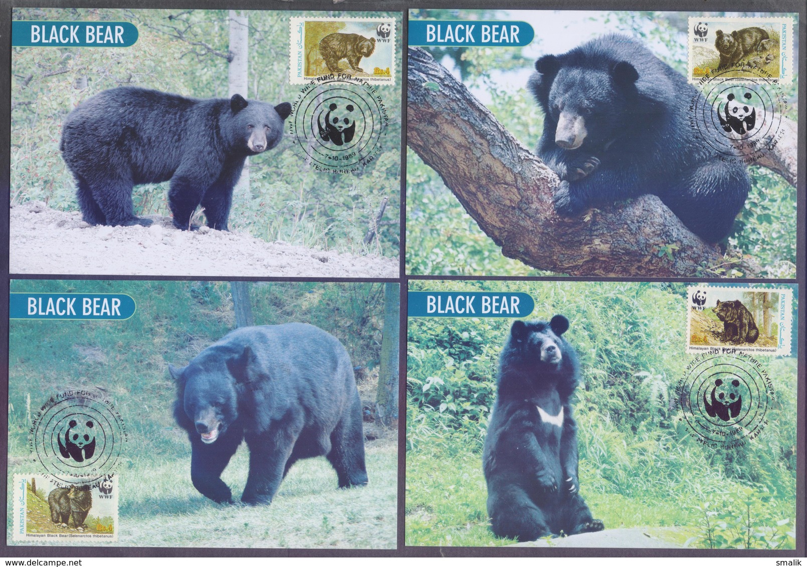 PAKISTAN 1989 - MAXIMUM CARD, W.W.F. Himalayan Black Bear, Complete Set Of 4 Cards - Pakistan