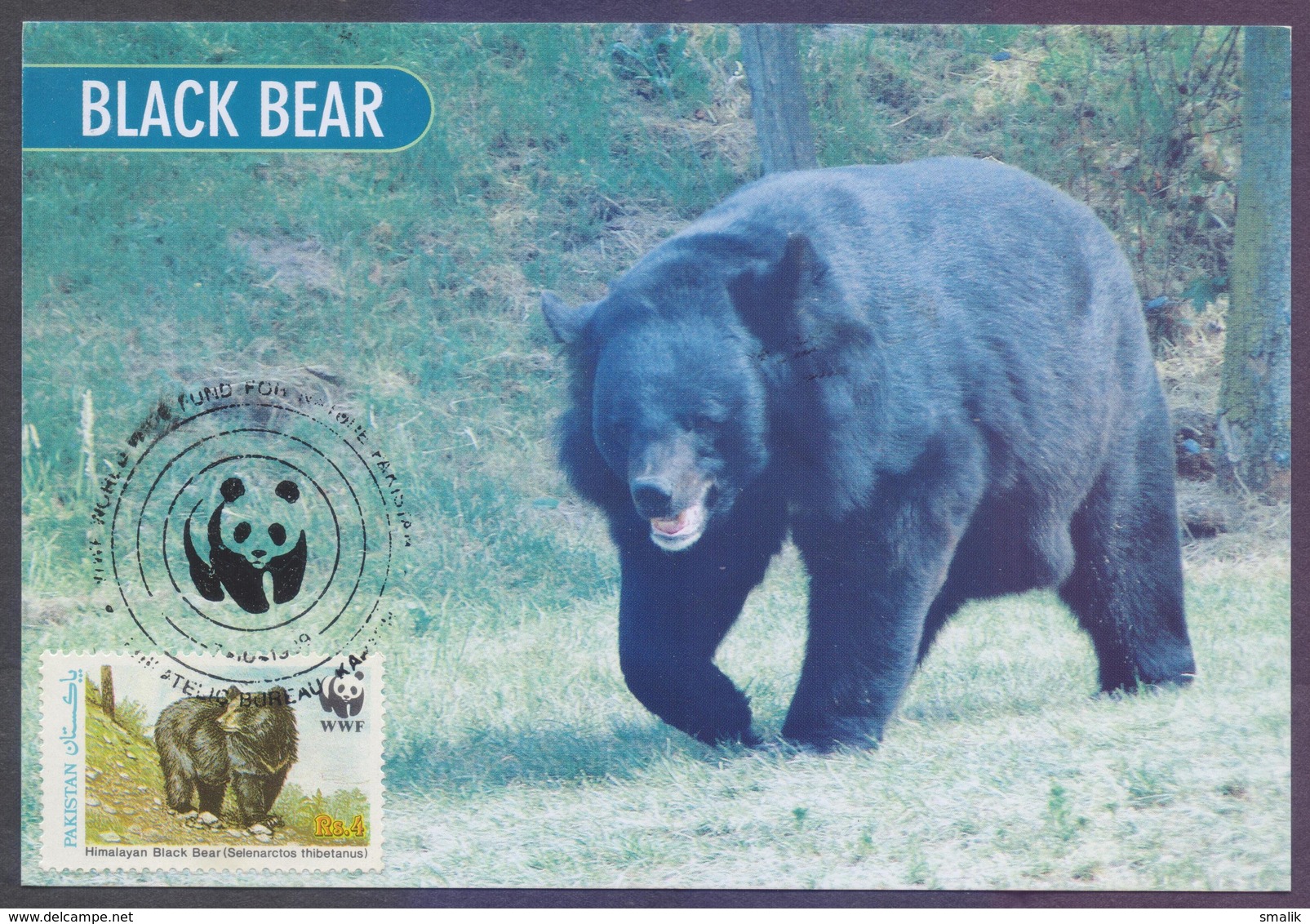 PAKISTAN 1989 - MAXIMUM CARD, W.W.F. Himalayan Black Bear, Complete Set Of 4 Cards - Pakistan