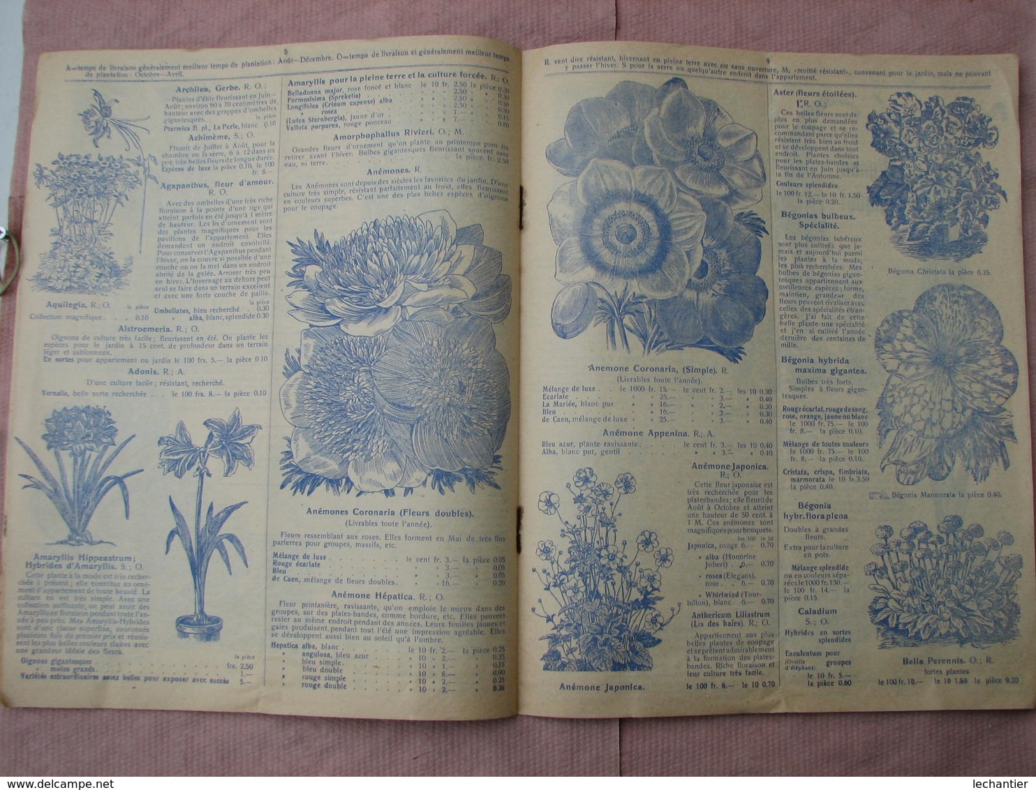 4 Catalogues Oignons à Fleurs 1910  1909  1920  " VELSEN - JOS TELKAMP - ROOZEN "  B.E. Voir Photos - Other & Unclassified