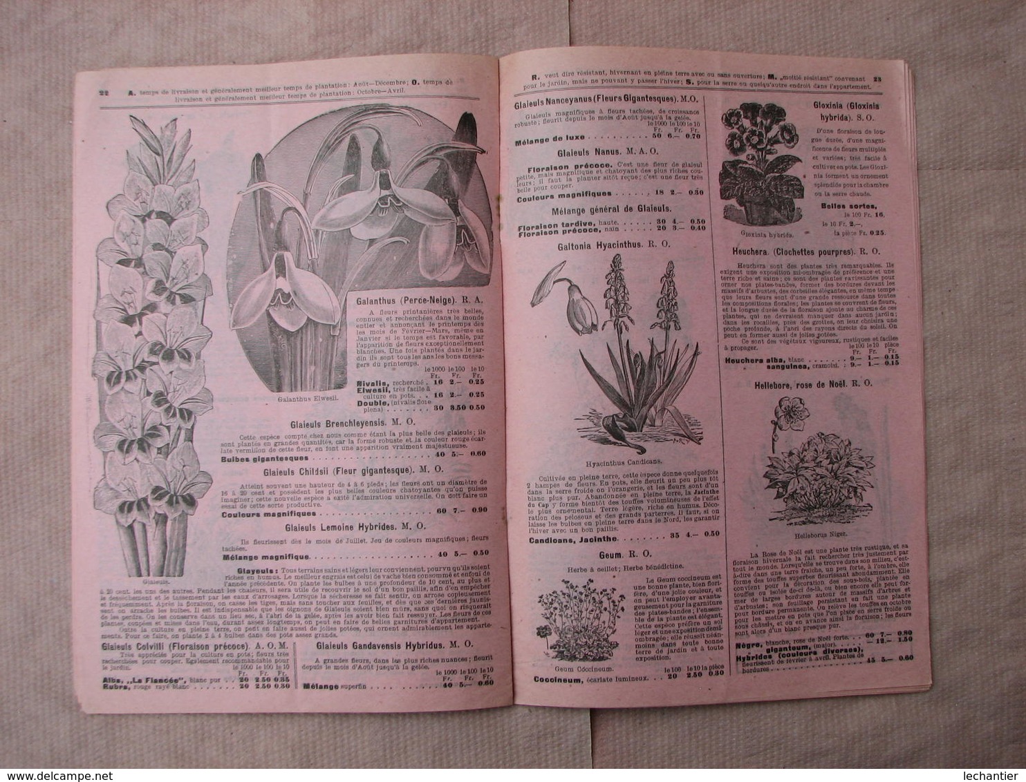 4 Catalogues Oignons à Fleurs 1910  1909  1920  " VELSEN - JOS TELKAMP - ROOZEN "  B.E. voir photos