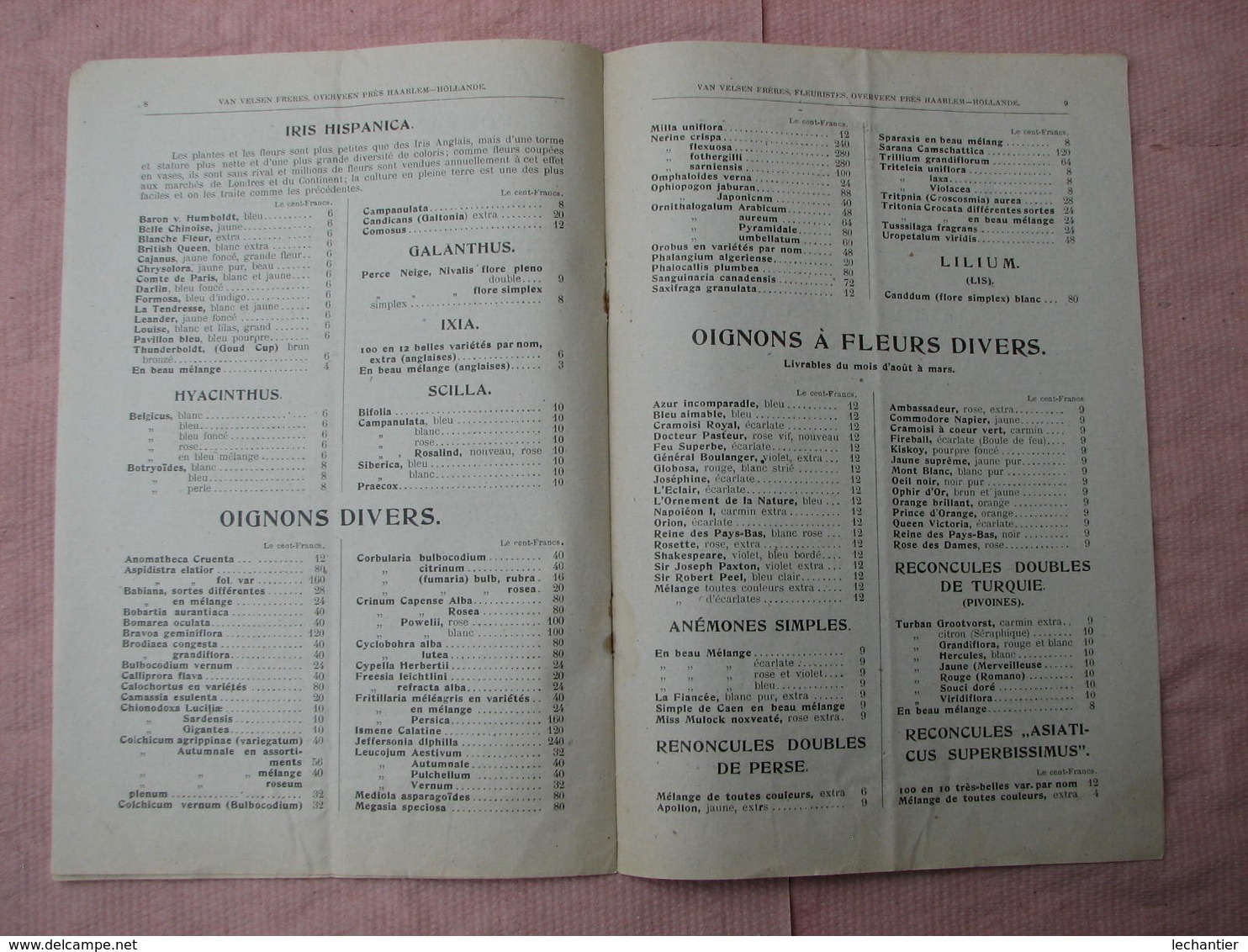 4 Catalogues Oignons à Fleurs 1910  1909  1920  " VELSEN - JOS TELKAMP - ROOZEN "  B.E. voir photos