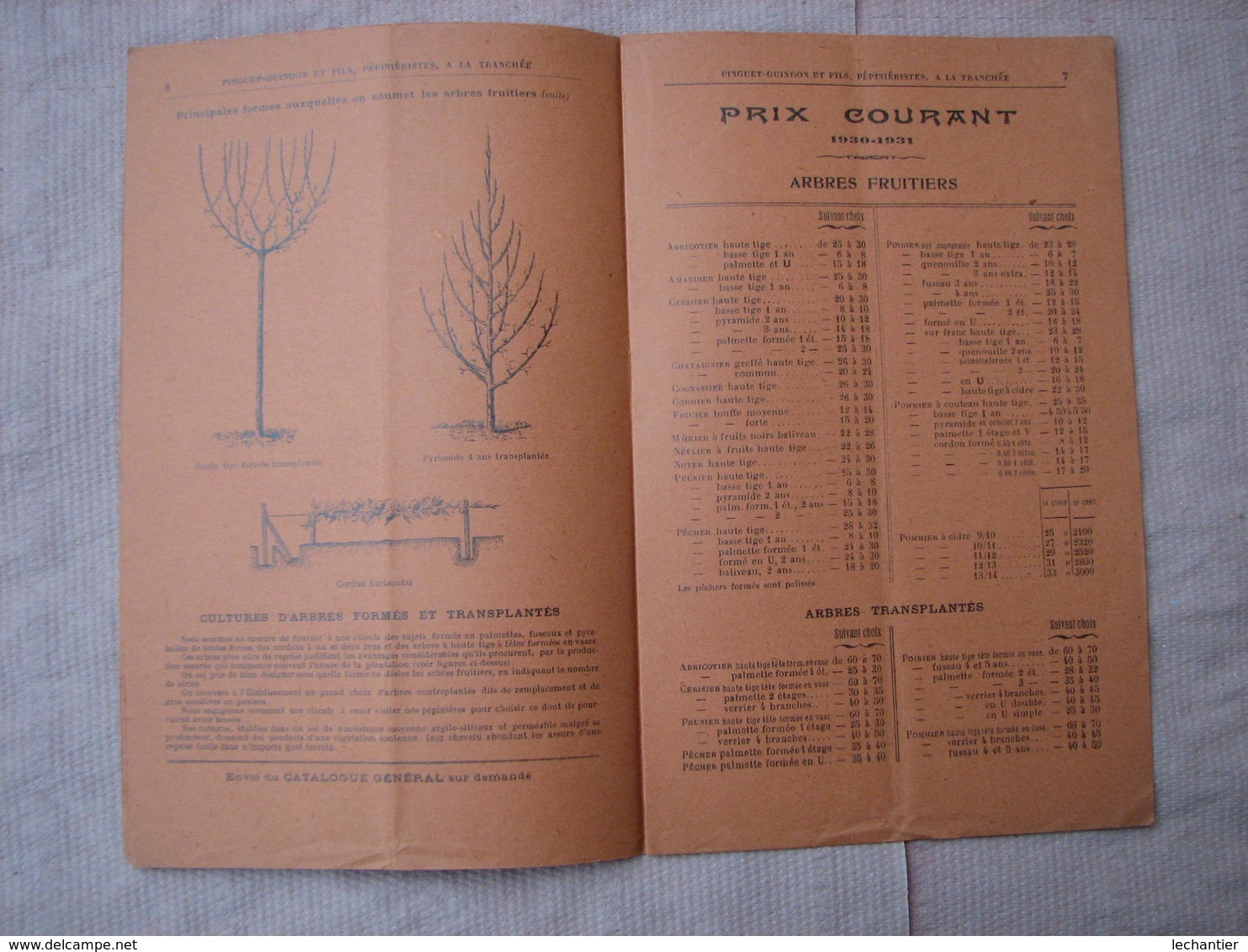 Pinguet-Guindon 1930/1931 Pépinières De Touraine à La Tranchée Près TOURS  St. SYMPHORIEN  15 Pages TBE - Autres & Non Classés