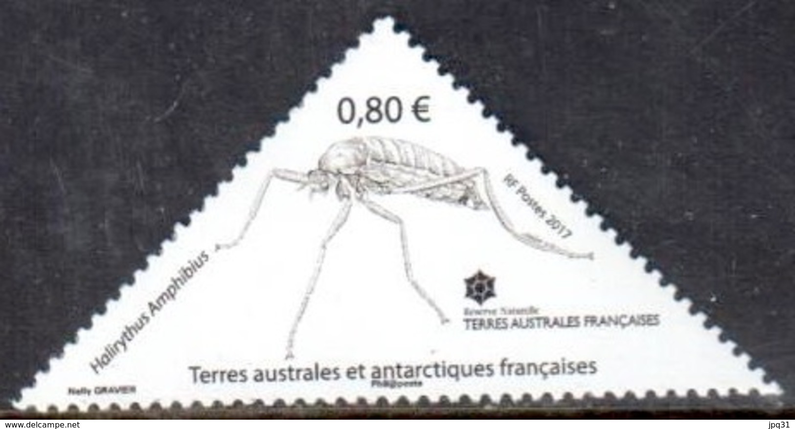 TAAF - 2017 - Insecte Halirythus Amphibius ** - Unused Stamps