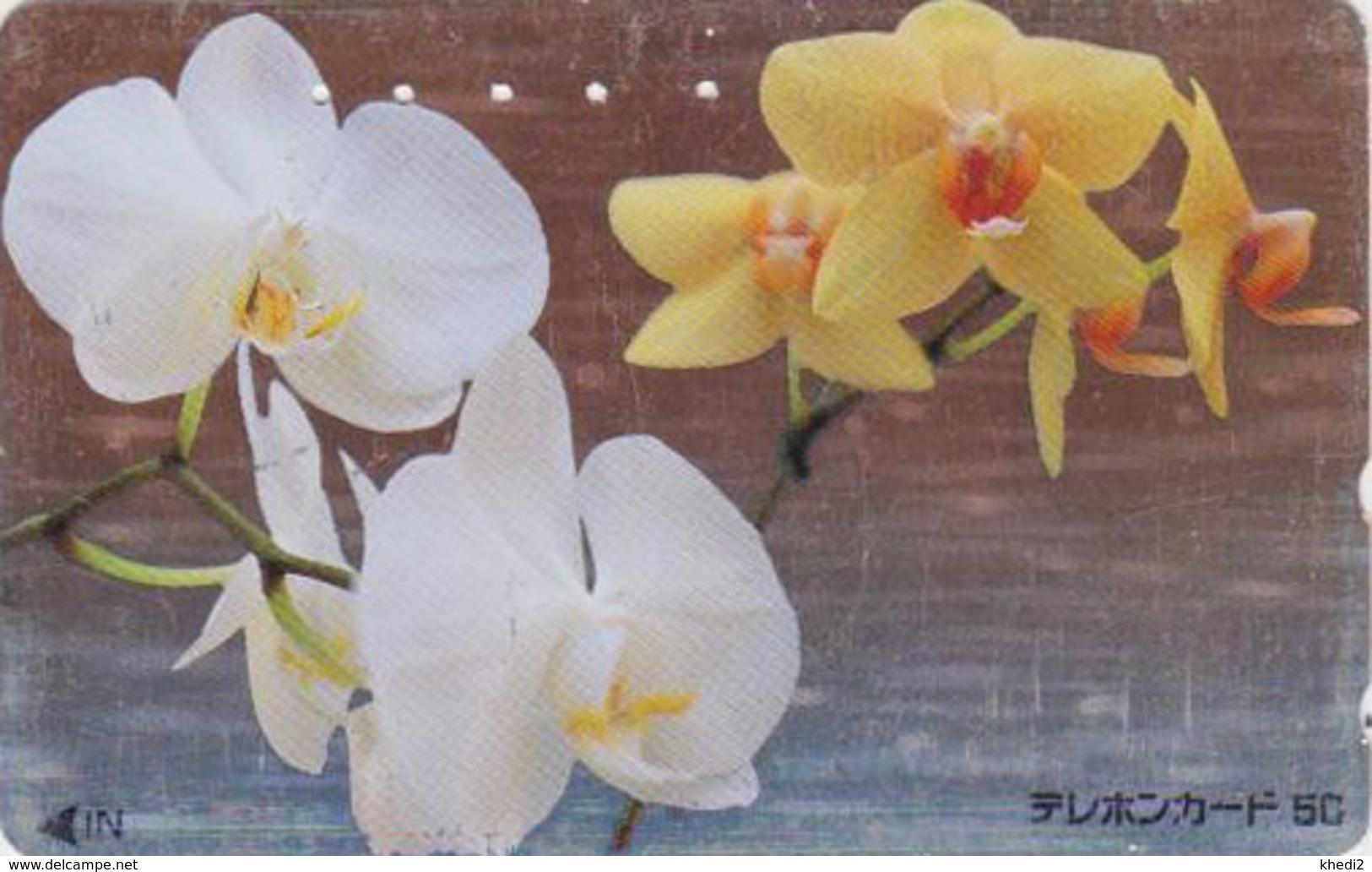 Télécarte ARGENT Japon / 110-011 - Fleur - ORCHIDEE - ORCHID Flower SILVER Phonecard - Blume - 2349 - Fleurs