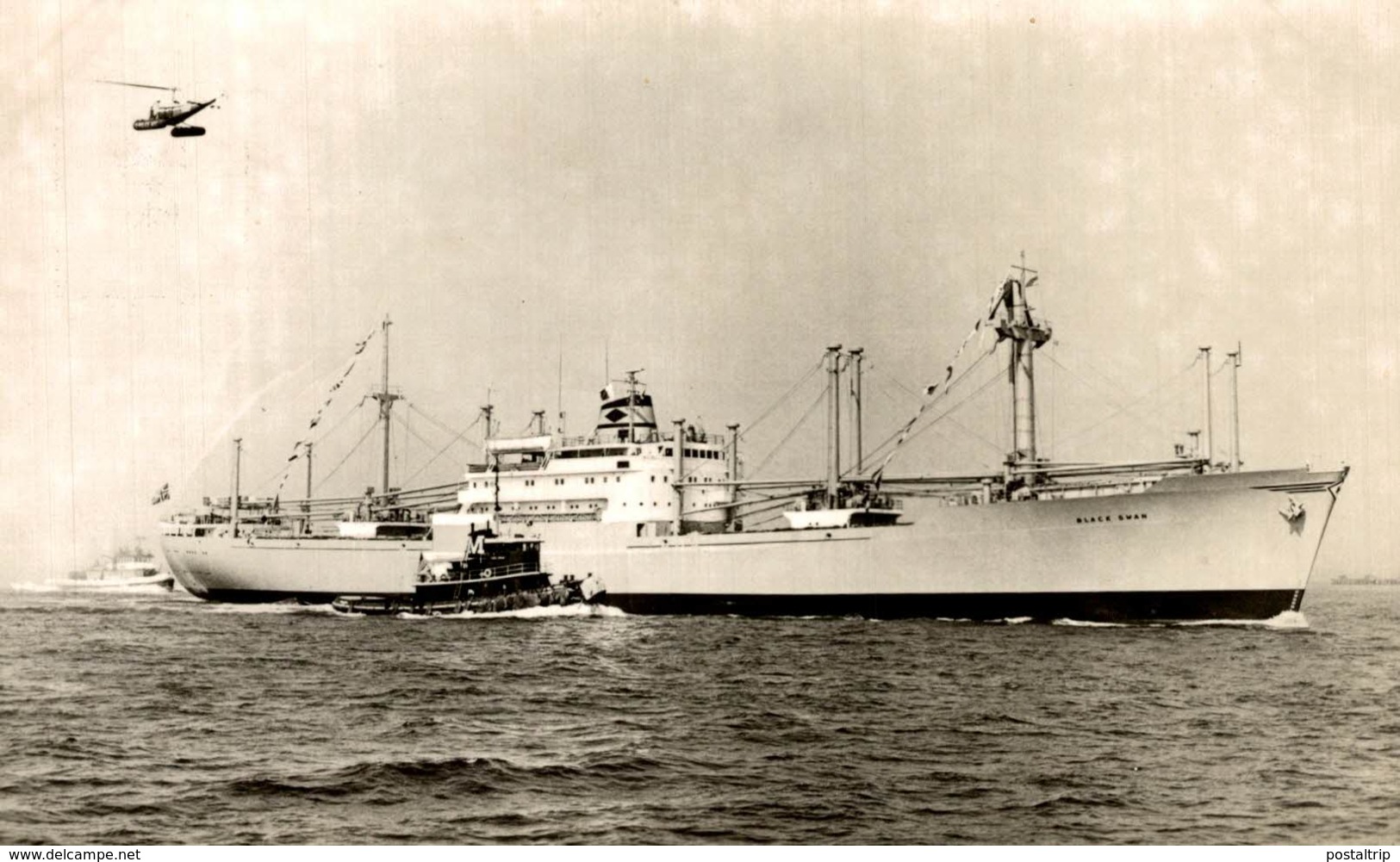 RPPC  THE SS BLACK SWAN ON HER MAIDEN ARRIVAL IN NEW YORK  NORWAY NORWEGIAN CARDO - Commerce