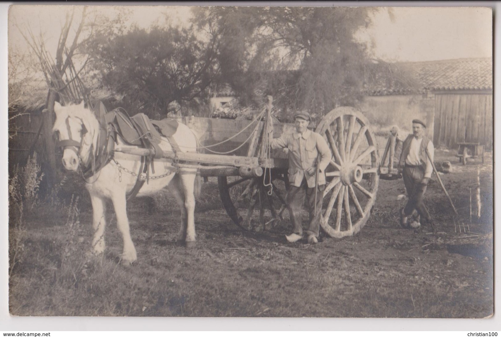 CARTE PHOTO : UN BEL ATTELAGE DE CHEVAL - UNE CHARRETTE DANS UNE COUR DE FERME - HANGAR - DEPENDANCES - 2 SCANS - - Attelages