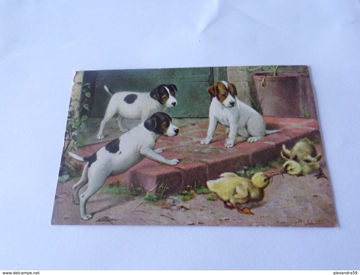 Fantaisies Chien Illustrateur Oilette Superbe Carte - Perros