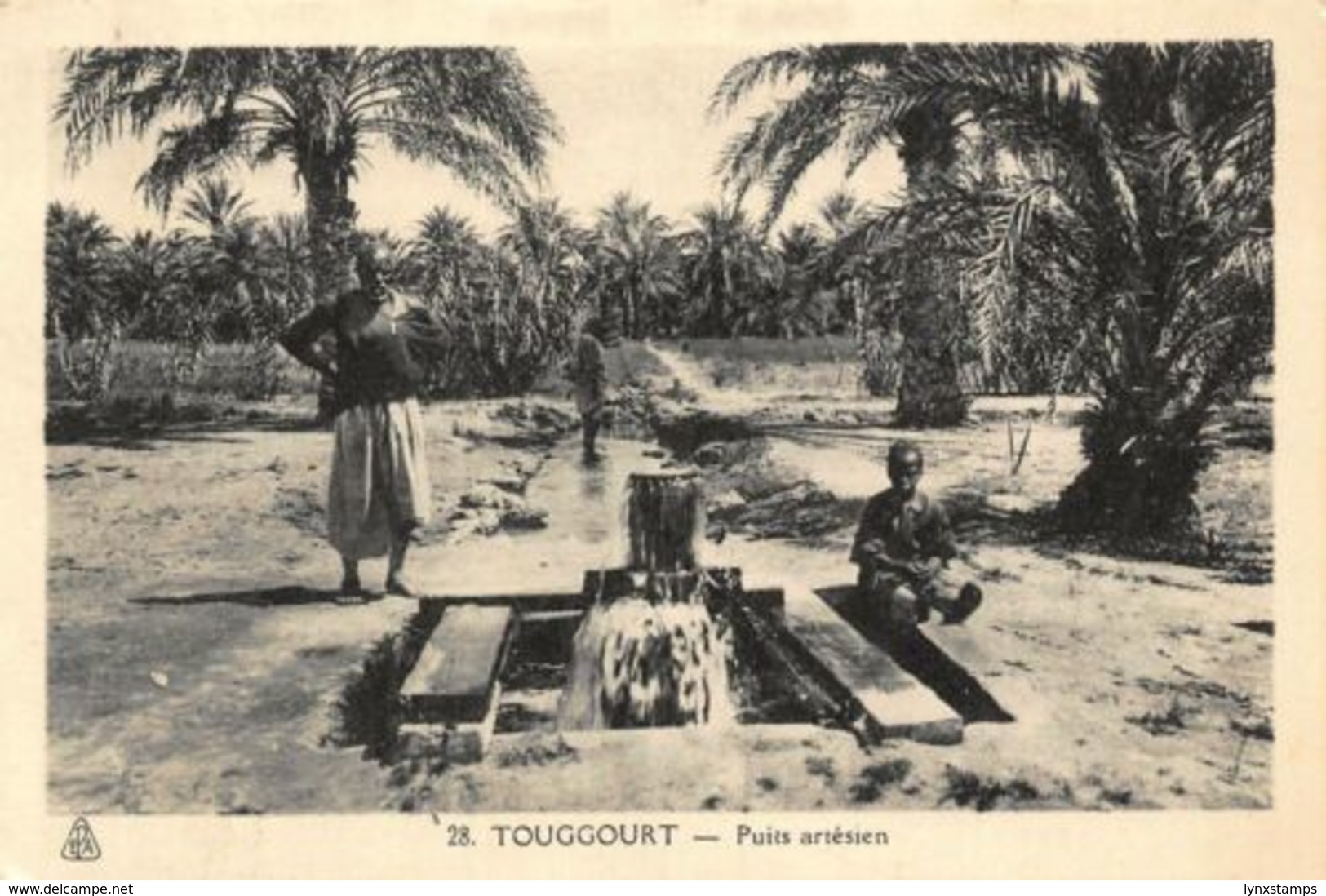 Algeria Touggourt Puits Artesien Postcard - Autres & Non Classés