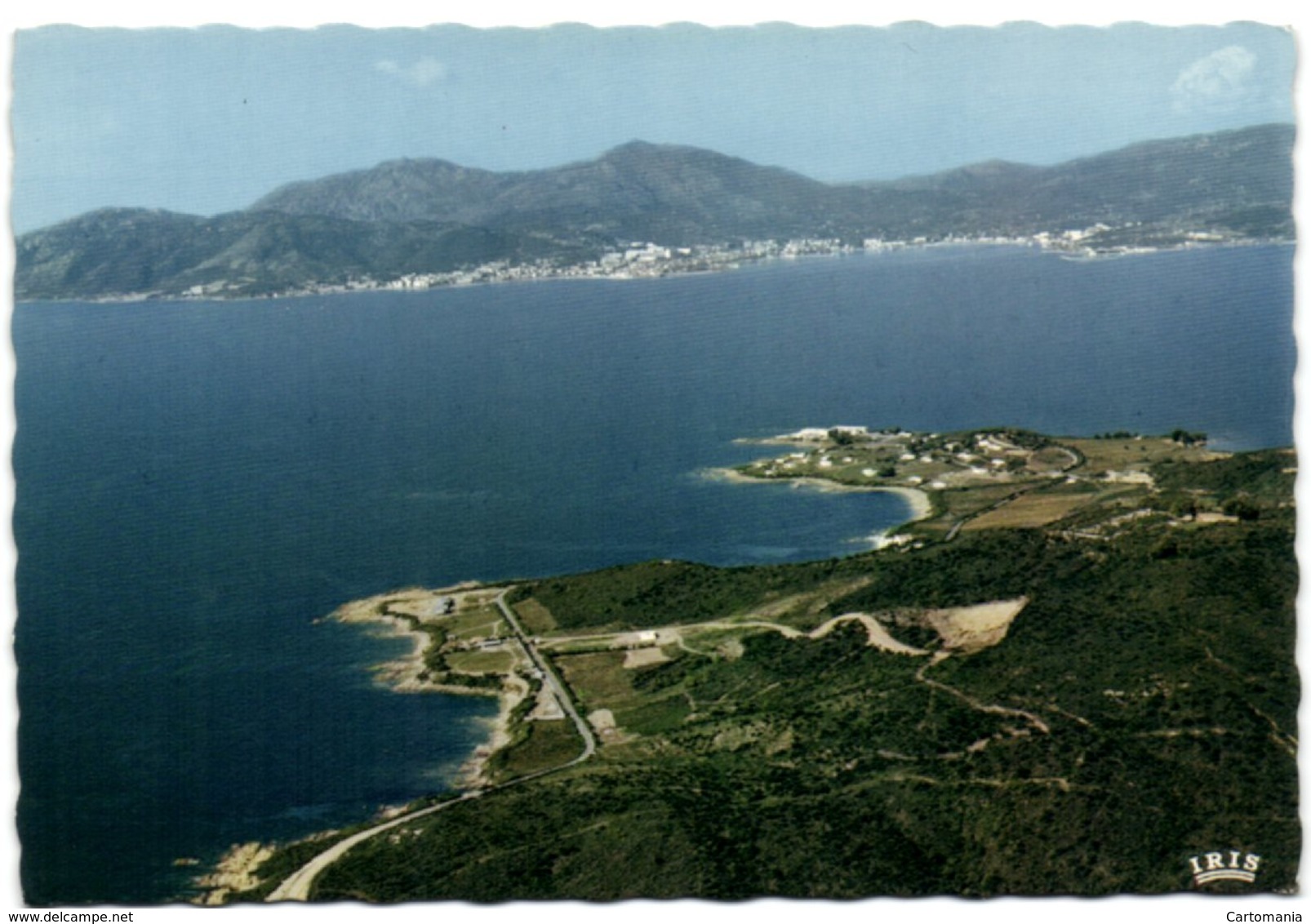 Porticcio - Vue D'ensemble Du Golfe D'Ajaccio - Autres & Non Classés