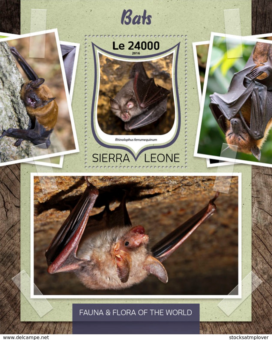 Sierra Leone 2016 Fauna  Bats - Sierra Leone (1961-...)