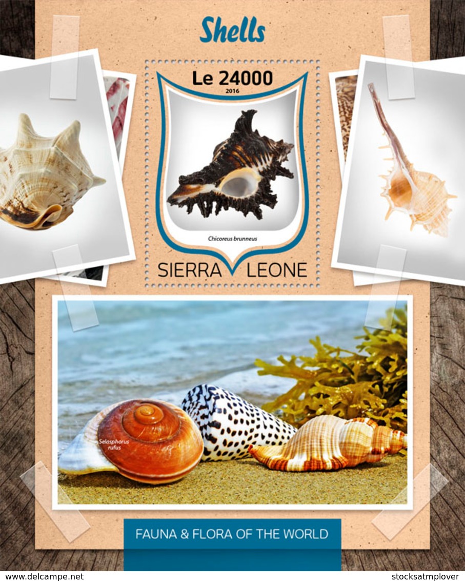 Sierra Leone 2016 Shells - Sierra Leone (1961-...)