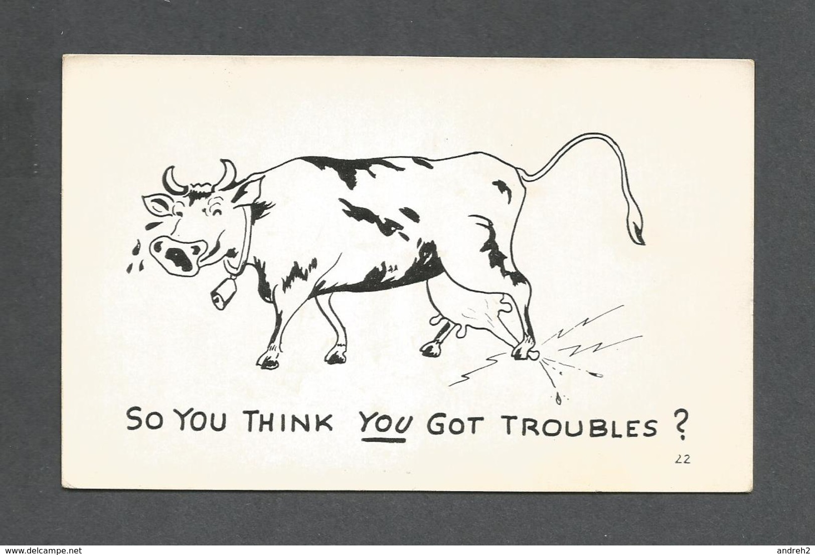 HUMOUR - INSOLITE - CARTE - SO YOU THINK YOU GOT TROUBLES   ? - Humour